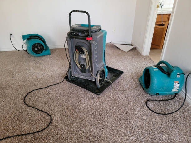 Best Water damage restoration cost  in Banning, CA