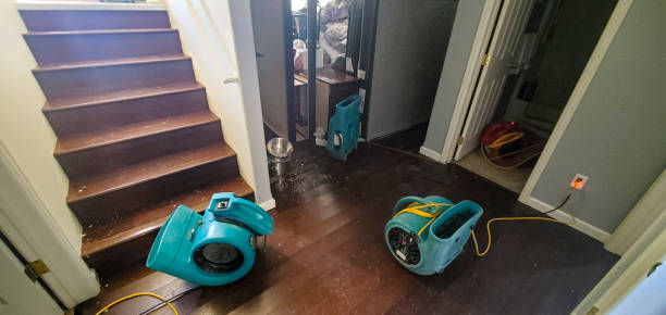 Best Water damage restoration near me  in Banning, CA