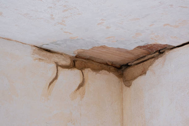 Best Water damage restoration experts  in Banning, CA
