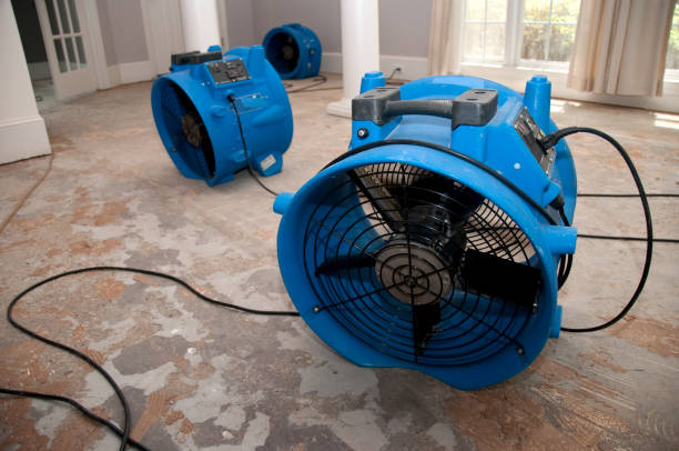  Banning, CA Water damage restoration Pros