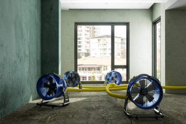 Best Water damage restoration near me  in Banning, CA