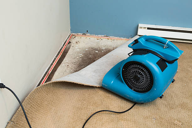 Best Carpet water damage restoration  in Banning, CA